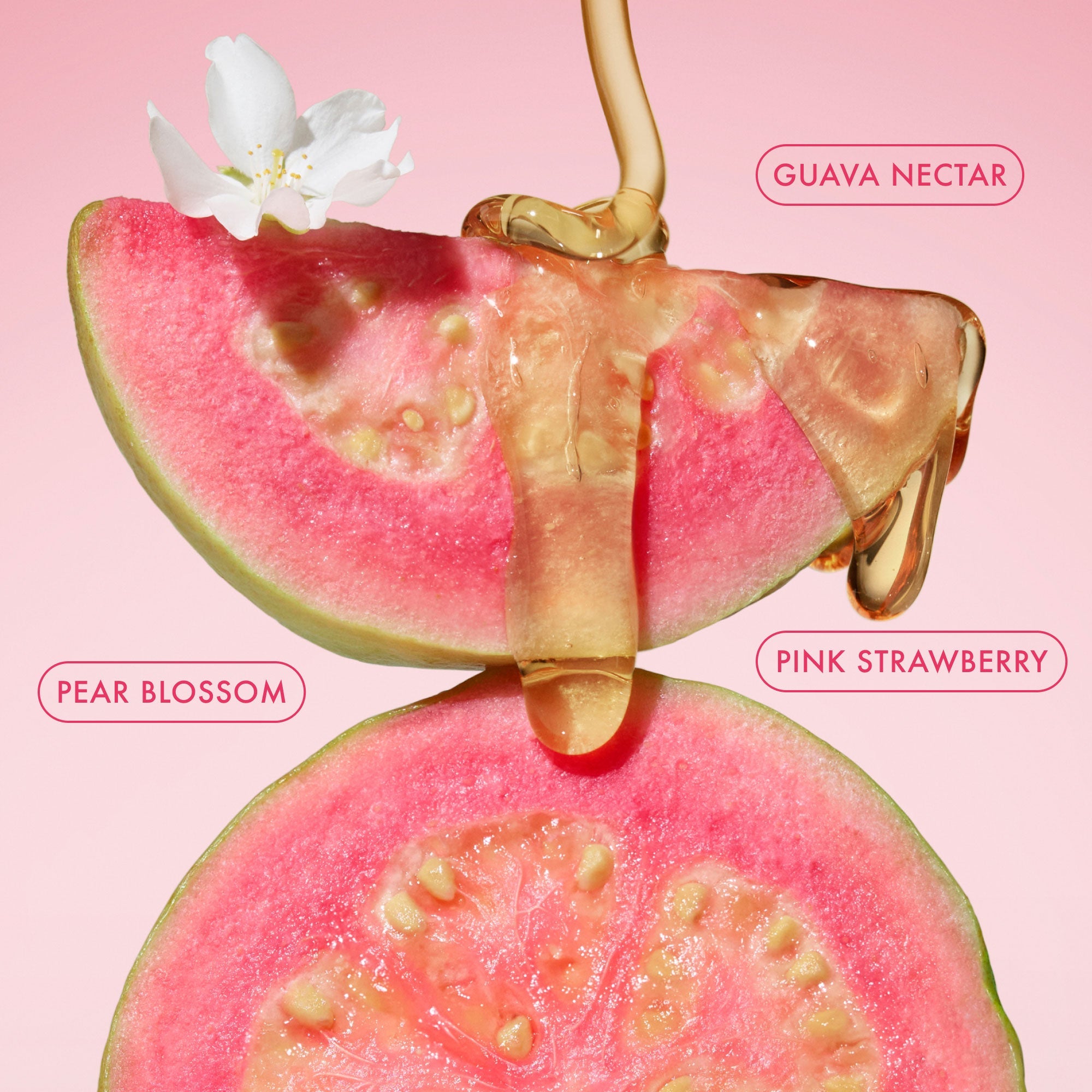 Body Butter Balm Pink Guava Travel Size